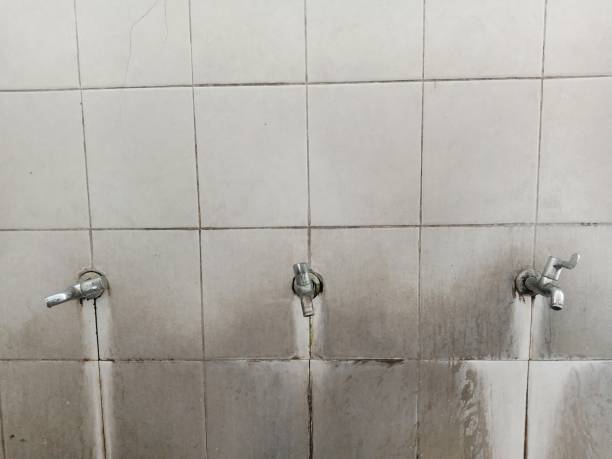 Best Flood restoration services  in Dunes City, OR