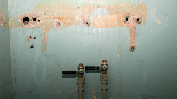 Best Mold removal after water damage  in Dunes City, OR