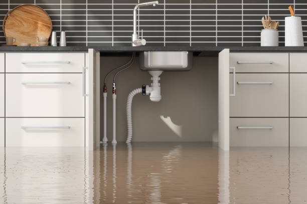 Best 24/7 water damage repair  in Dunes City, OR