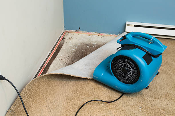 Best Water damage restoration near me  in Dunes City, OR